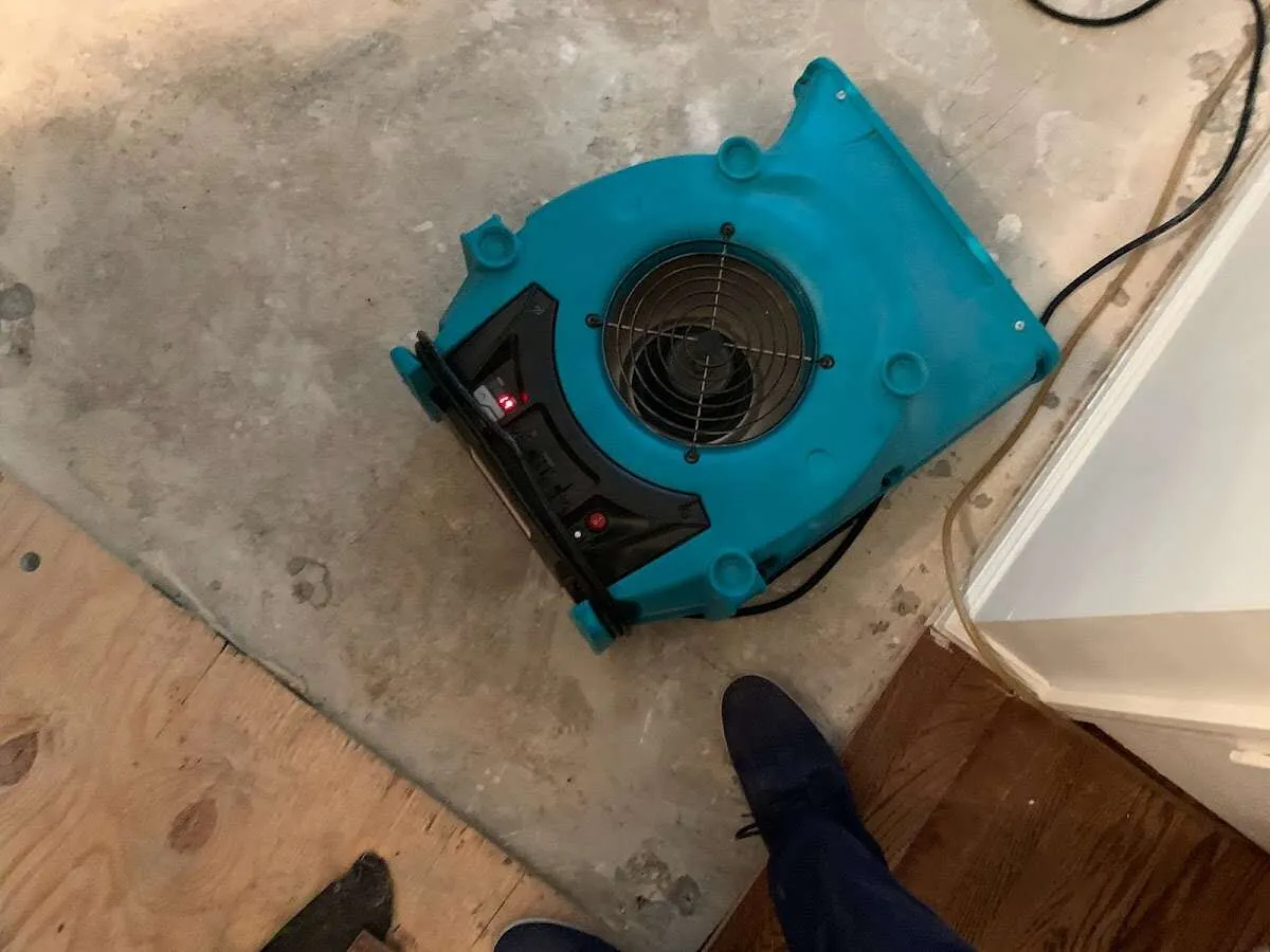 Air mover drying subfloor during Commercial Water Damage Restoration in McMinnville